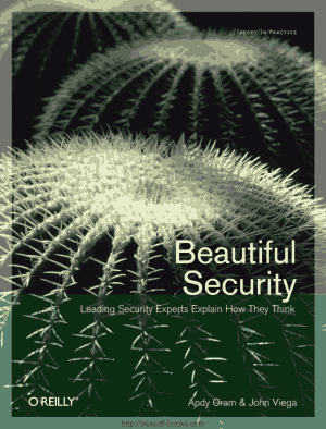 Beautiful Security – Leading Security Expert Explain How They Think, Pdf Free Download