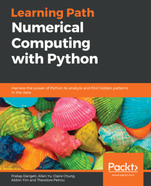 Free Download PDF Books, Learning Path Numerical Computing with Python
