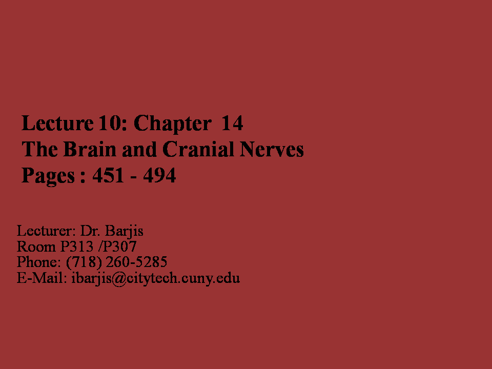 Free Download PDF Books, Brain and Cranial Nerves Brain Powerpoint Presentation Template PPT