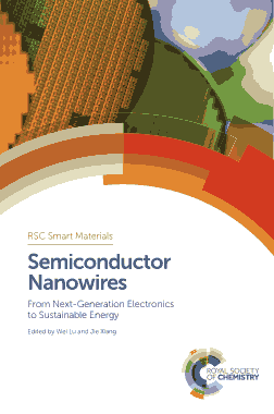 Semiconductor Nanowires from Next-Generation Electronics to Sustainable Energy