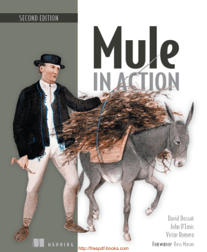 Free Download PDF Books, Mule in Action, 2nd Edition