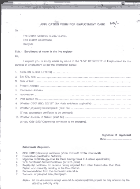 Employment Card Application Form Template