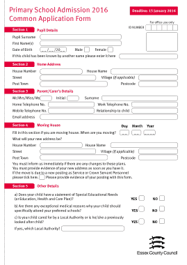 Primary School Application Form Template