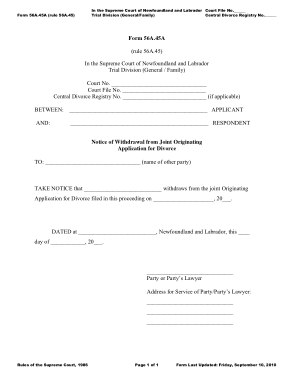 Free Download PDF Books, Divorce Notice Application Form Templates
