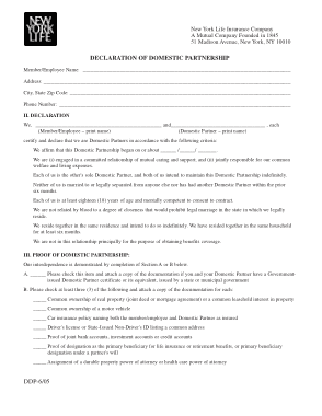 Domestic Partnership Agreement Form Template