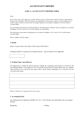 Accounting Report Form Template