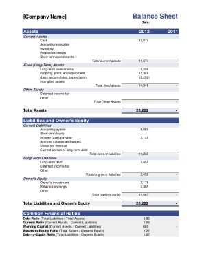 Business Accounting Balance Sheet Form Template