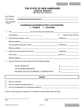 Guardianship Accounting Form Template