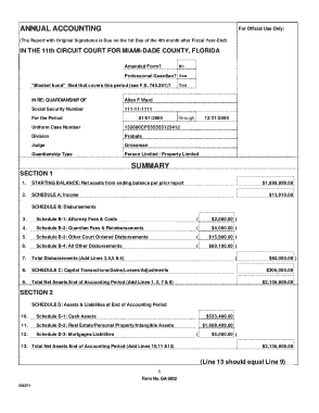 Sample Annual Accounting Form Template