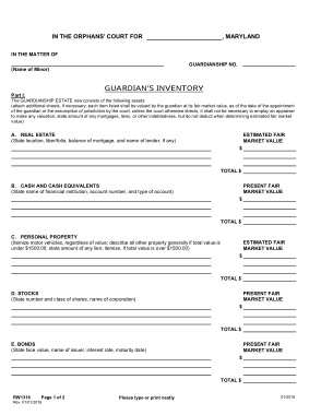 Sample Guardianship Accounting Form Template