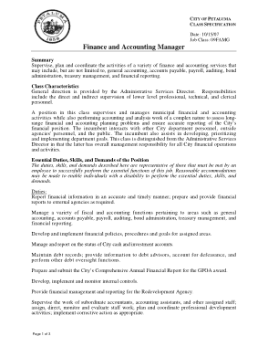 Manager Finance and Accounts Job Description Template