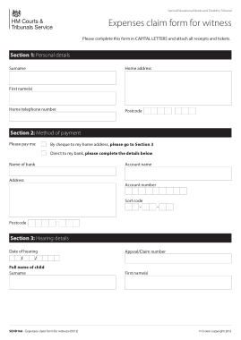 Witness Expense Claim Form Template