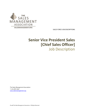 Senior Vice President Sales Officer Job Description Template