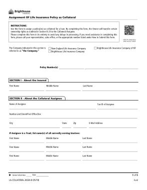 Basic Assignment of Life Insurance Policy Template