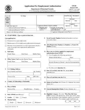 Application for Employment Authorization Form Template