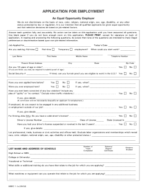 Printable Blank Application for Employment Example Template