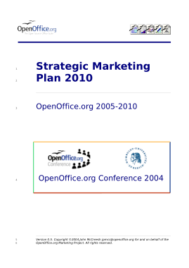 Printable Strategic Marketing Plan 2010 Template