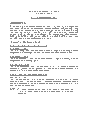Accountant Assistant Experience Resume Template