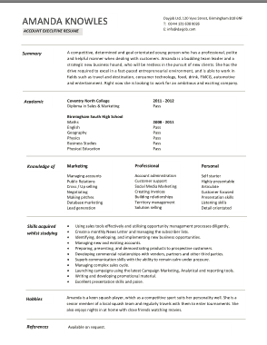 Accounts Resume in PDF Template