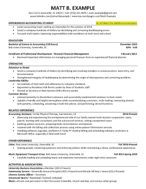 Experienced Accountant Resume Template