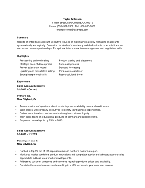 Account Sales Executive Resume Template