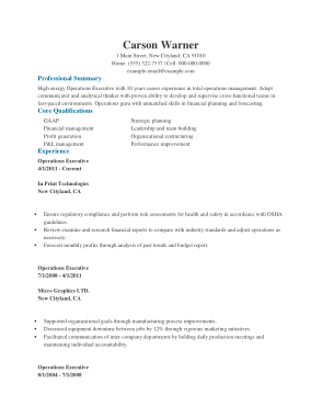 Business Operation Executive Resume Template