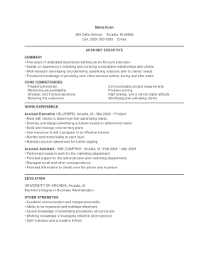 Accounts Executive Manager Resume Template