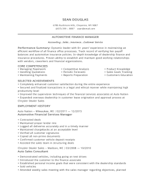 Automotive Business Finance Manager Template