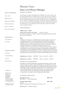 Entry Level Project Manager Template