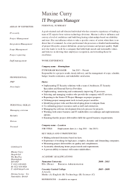 IT Program Manager Template