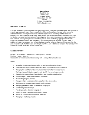 Marketing Project Manager Template