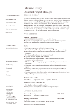 Project Manager Assistant Resume Template