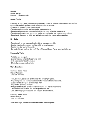 Project Manager Assistant Template