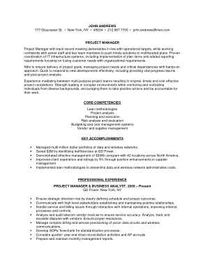 Project Manager Resume Executive Summary Template