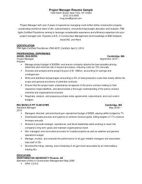 Resume for Project Manager Experience Template