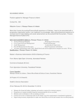 Resume of Finance Account Manager Template