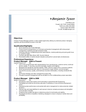 Resume of IT Product Manager Template