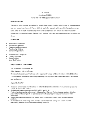 Sales Manager Experience Resume Template