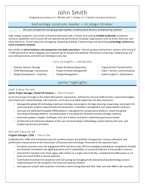 Senior Project Manager Template