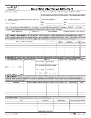 Collection Statement of Information Form Template
