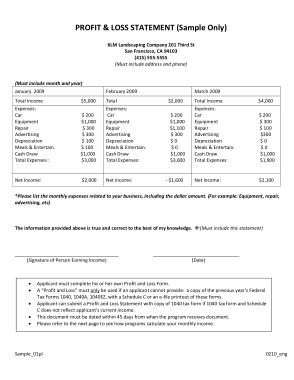 Profit and Loss Statement Form Sample Template