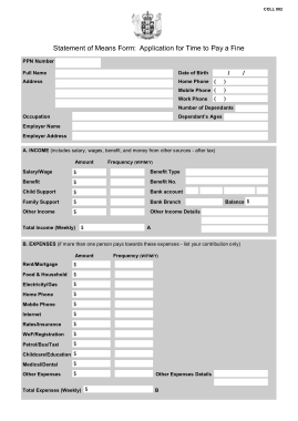 Statement of Means Application Form Template