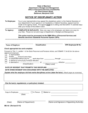 Sample Notice of Disciplinary Action Form Template