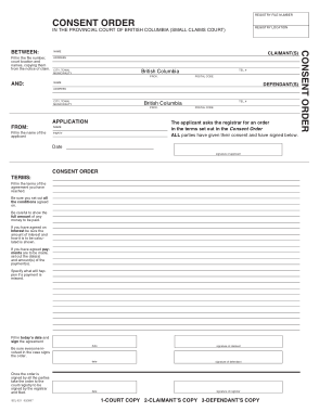 Example of Consent Order Form Template