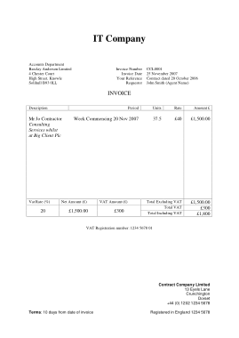 Free Download PDF Books, Blank IT Invoice Template