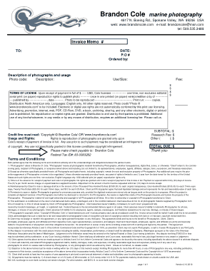 Professional Photography Invoice Template