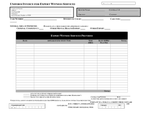 Expert Witness Services Invoice Template