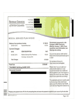 Services Plan Invoice Template