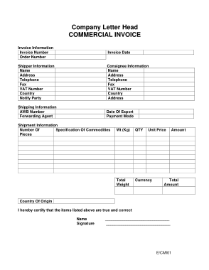 Standard Company Invoice Template