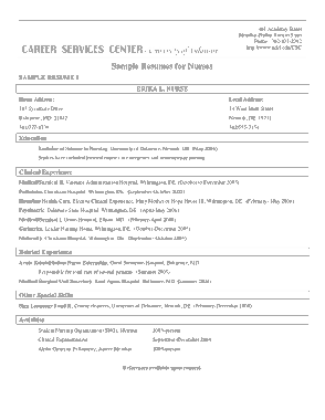 Professional RN Resume Template